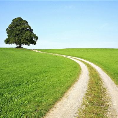 万博体育官方版下载