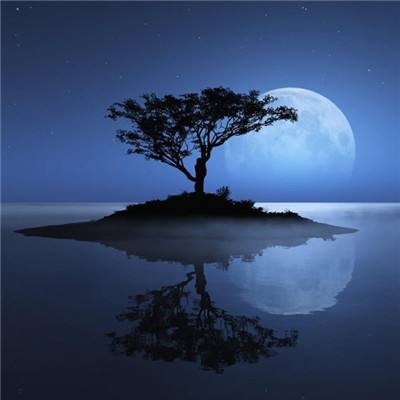 半岛官方APP入口