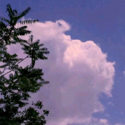 hth体育官方网站